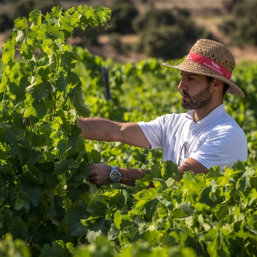 <h1 style="font-size: 28px; line-height: 1.25; margin: 0; color: white;">Sardinien</h1>