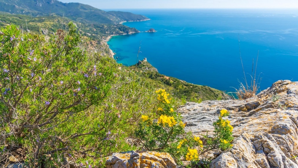 <h1 style="font-size: 28px; line-height: 1.25; margin: 0; color: white;">Maremma</h1>