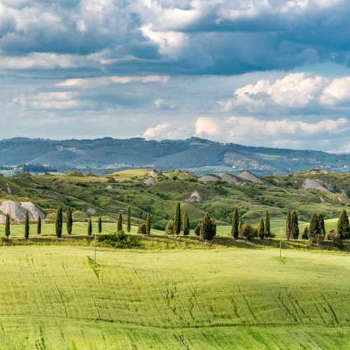 <h1 style="font-size: 28px; line-height: 1.25; margin: 0; color: white;">Toscana</h1>
