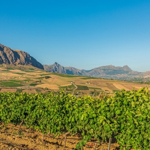 <h1 style="font-size: 28px; line-height: 1.25; margin: 0; color: white;">Sizilien</h1>