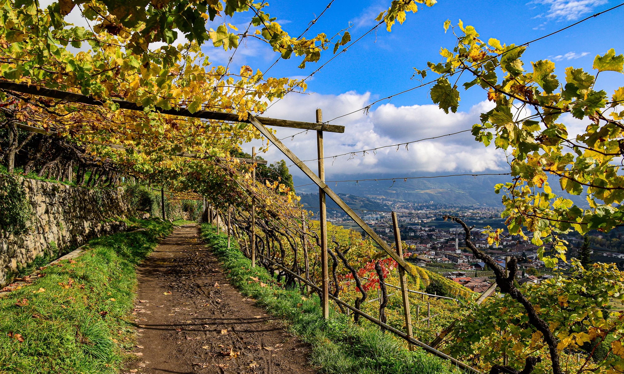 Weinregion Südtirol