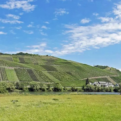 Erhard Heitlinger - Weinbusiness Beratung