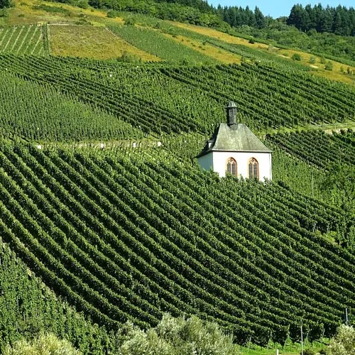 Erhard Heitlinger - Weinbusiness Beratung