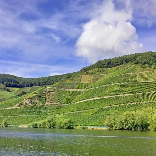 Erhard Heitlinger - Weinbusiness Beratung