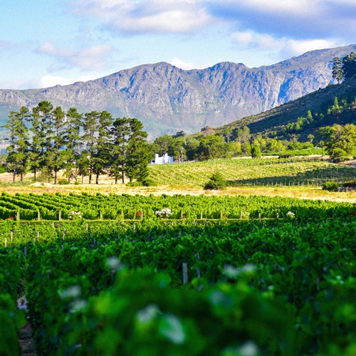 <h1 style="font-size: 28px; line-height: 1.25; margin: 0; color: white;">Südafrika</h1>