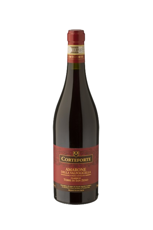 Amarone <br>Terre di San Zeno<br><h1 style="font-size: 18px;">Cantina Corteforte</h1>