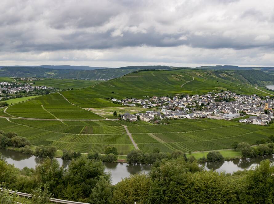 Mosel