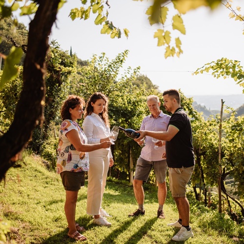 Azienda Agricola Ballianei