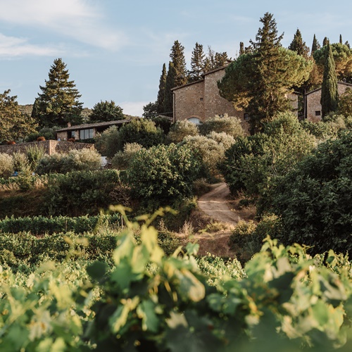 Tenuta di Trecciano