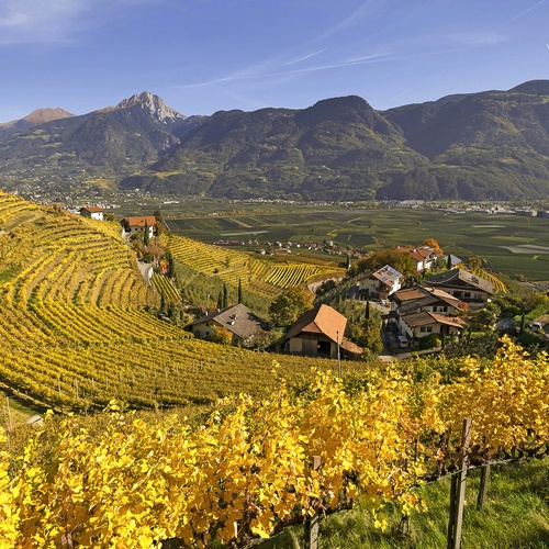 Weingut Oberstein