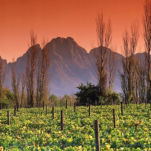 South Africa Travel