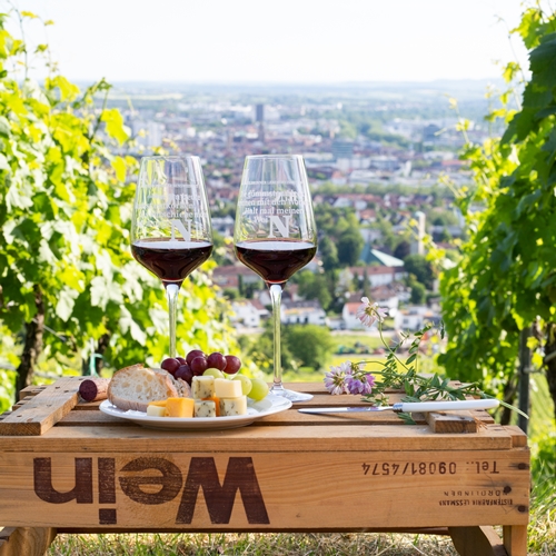 Weinort Heilbronn - Wartberg - Picknick