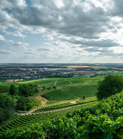 Weinort Iphofen