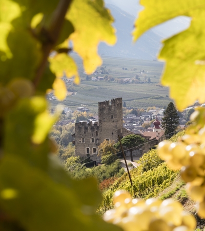 Weinort Naturns
