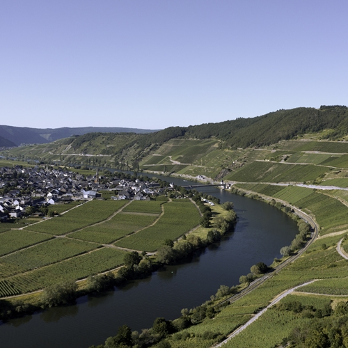 Weingut Ansgar Clüsserath