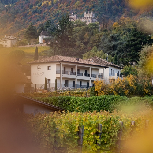 Weingut Gasshof