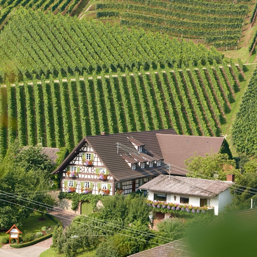 Winzerhof Werner