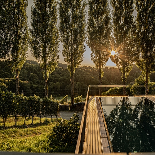 Weingut Maitz