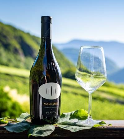 Nussbaumerhof - Mitterer-Zublasing