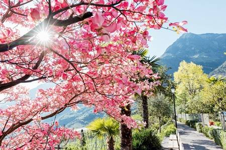 Dorf Tirol