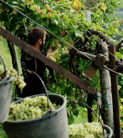 Azienda Agricola Andreola