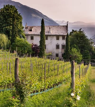 Weingut Kränzelhof