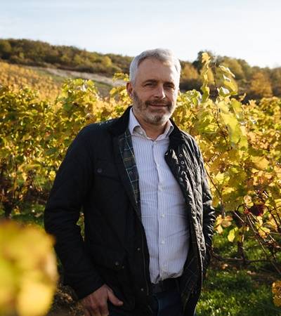 bild-weingut-gres-2-4 bild-weingut-gres-2-4