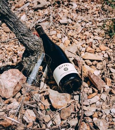 bild-weingut-riffel-6-4 Weingut Riffel