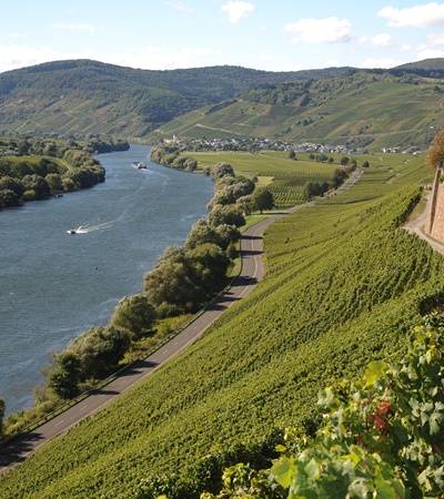 Weingut Martin Conrad