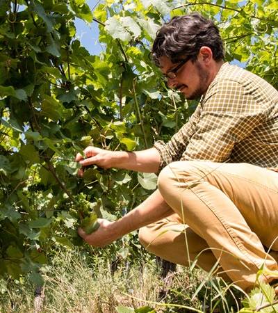 bild-weingutlithos (4)-4