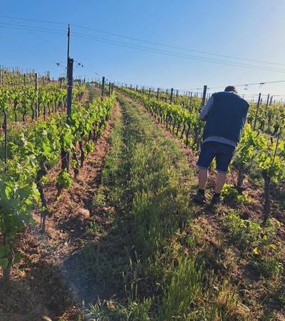 foto-allachermax (31)-4 Weingut Allacher