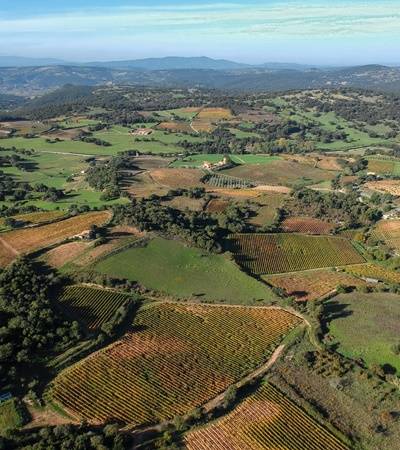 Azienda Agricola Giacu