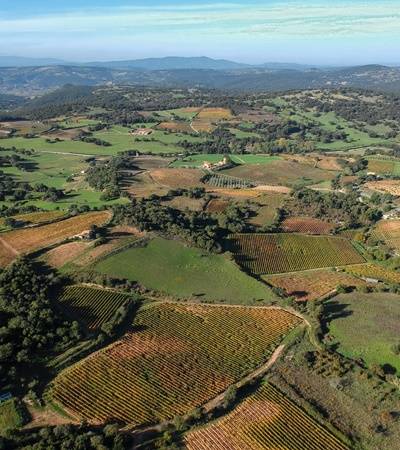 Azienda Agricola Giacu