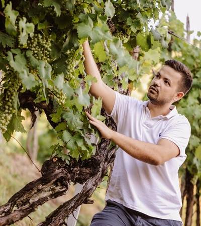 Azienda Agricola Ballianei