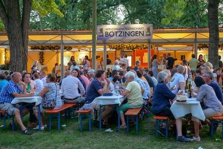 Weinort Breisach