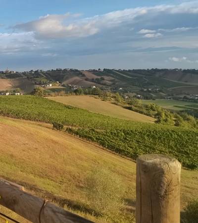 Cantina Visconti