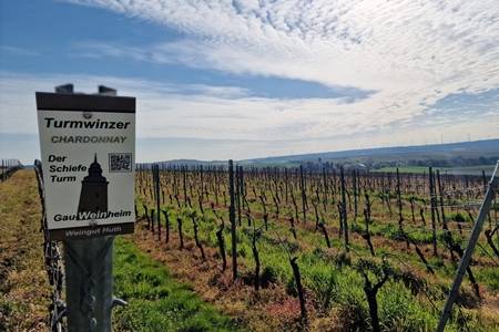 Weinort Gau-Weinheim