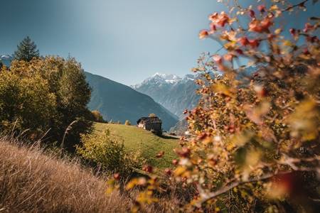 Weinort Heidadorf Visperterminen