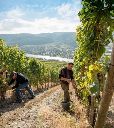 Weingut Hubertushof