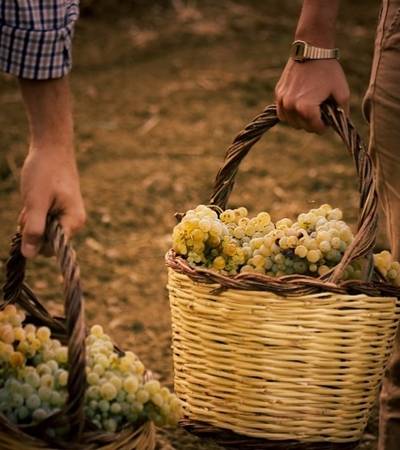 Marchese delle Saline