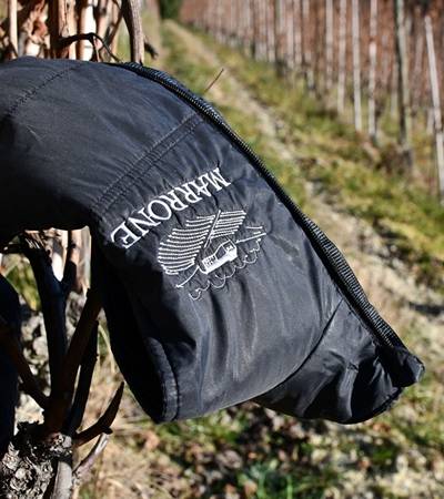 Azienda Agricola Marrone