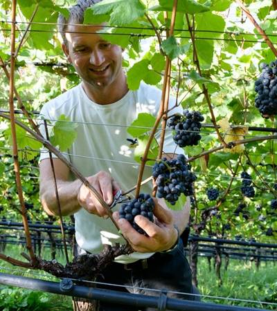 Weingut Pflanzer Hof