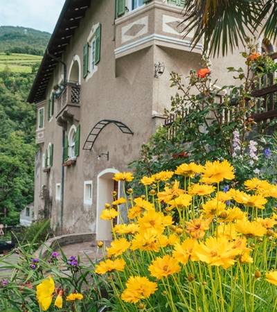 Weingut Pitsch am Bach