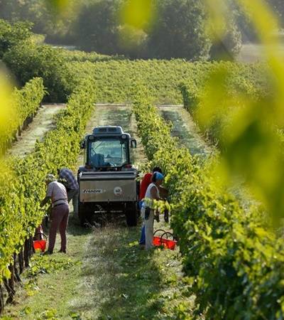 Tenuta di Trecciano