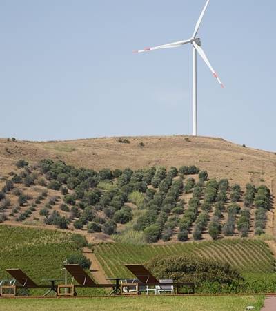 Az.Agr.Spadafora Francesco