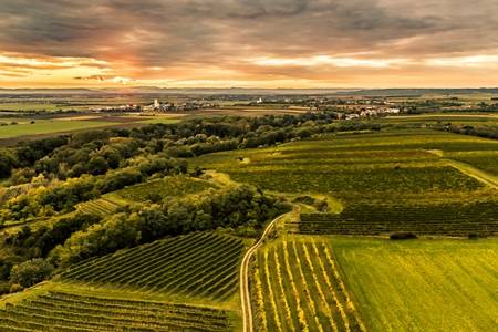 (c) Weinstrasse Wagram-Robert Herbst