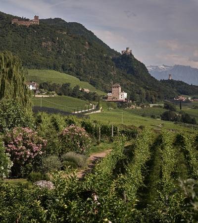 Weingut Stuck