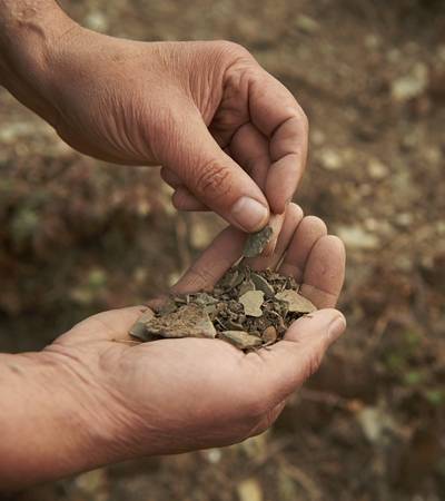 foto-weingutcastell-5-4 Weingut Castell