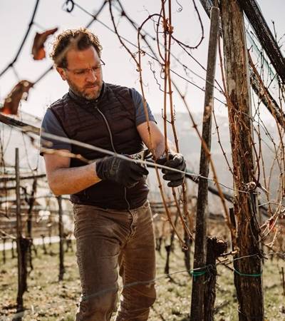 Weingut Maitz