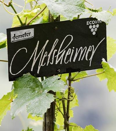 Weingut Melsheimer